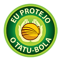 Tatu bola