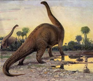 brontosaurus